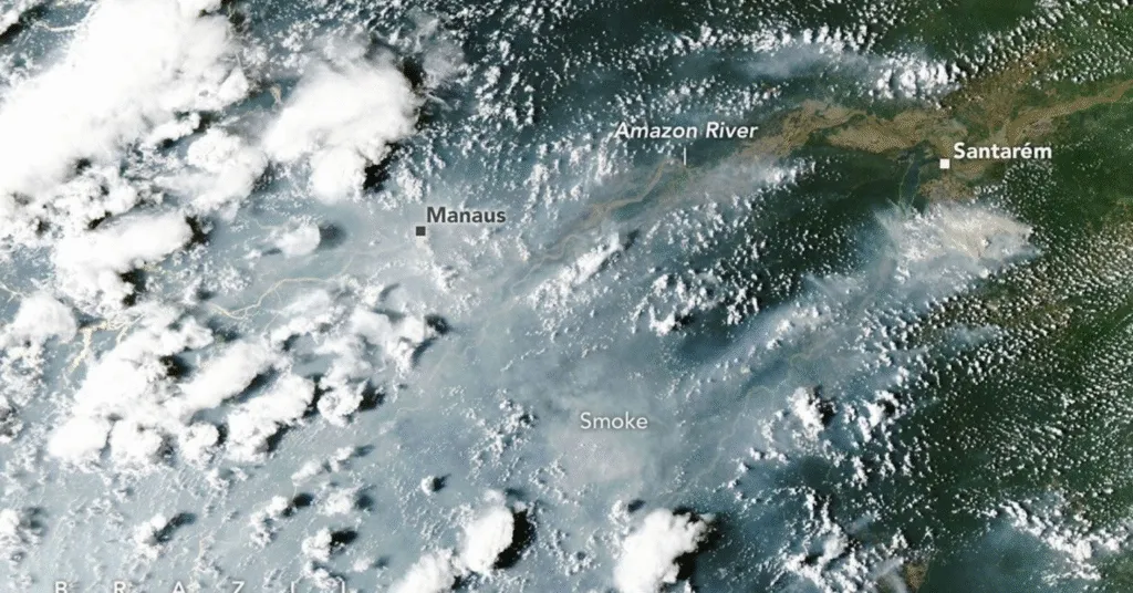 Amazônia