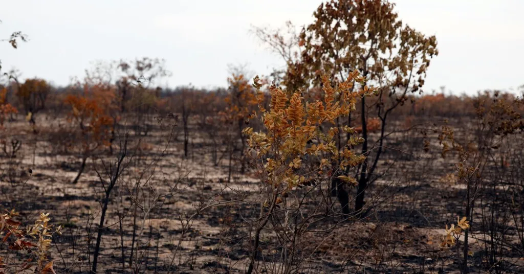 Crise climática